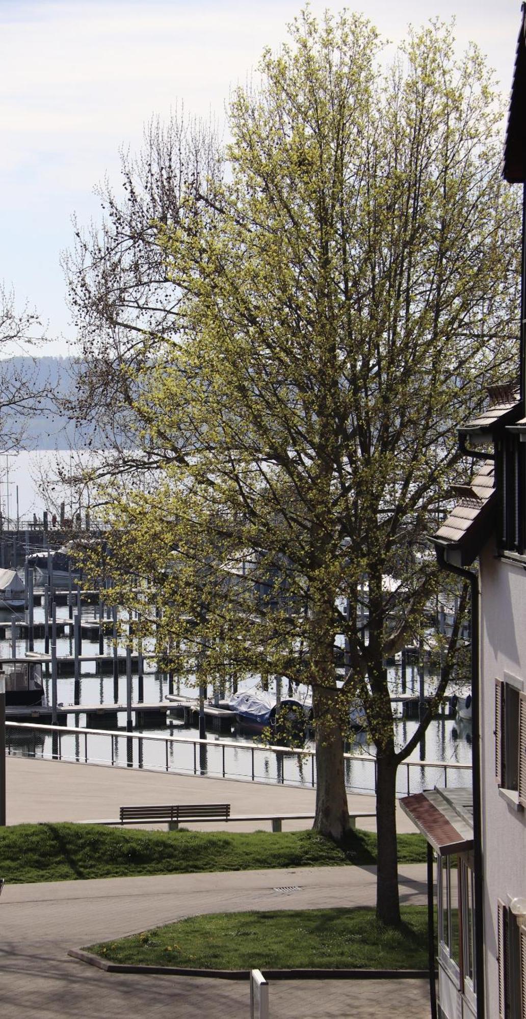 Gaestehaus Maeder Am Hafen Ульдінген-Мюльгофен Екстер'єр фото